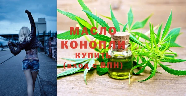 дмт Алексин