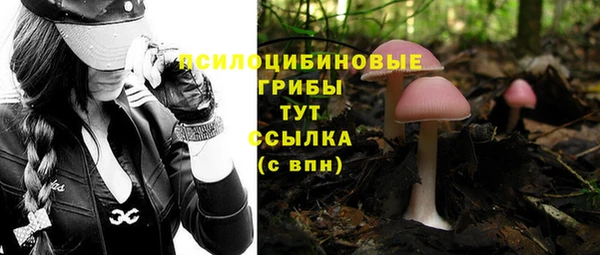 бутират Алзамай