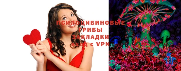 дмт Алексин